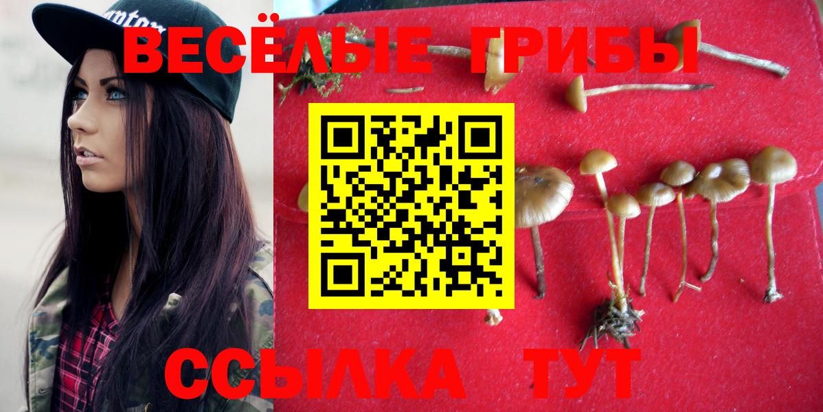 Усолье-Сибирское  Псилоцибиновые грибы Cubensis  Вход с VPN 